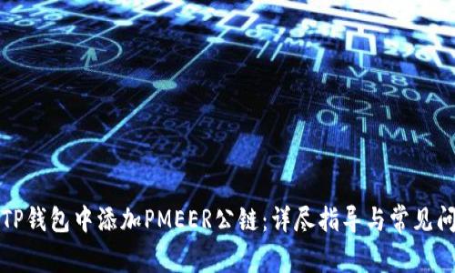 如何在TP钱包中添加PMEER公链：详尽指导与常见问题解答