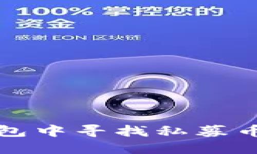 如何在TP钱包中寻找私募币的最佳策略