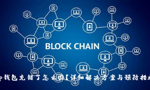 tp钱包充错了怎么办？详细解决方案与预防措施