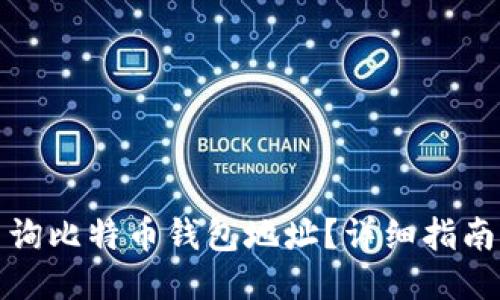 如何查询比特币钱包地址？详细指南与技巧