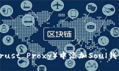 如何在TP（Trust Proxy）中添加Soul钱包：详细指南